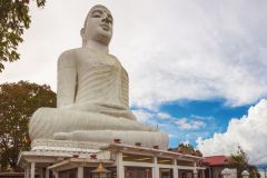 Bbuddha Kandy